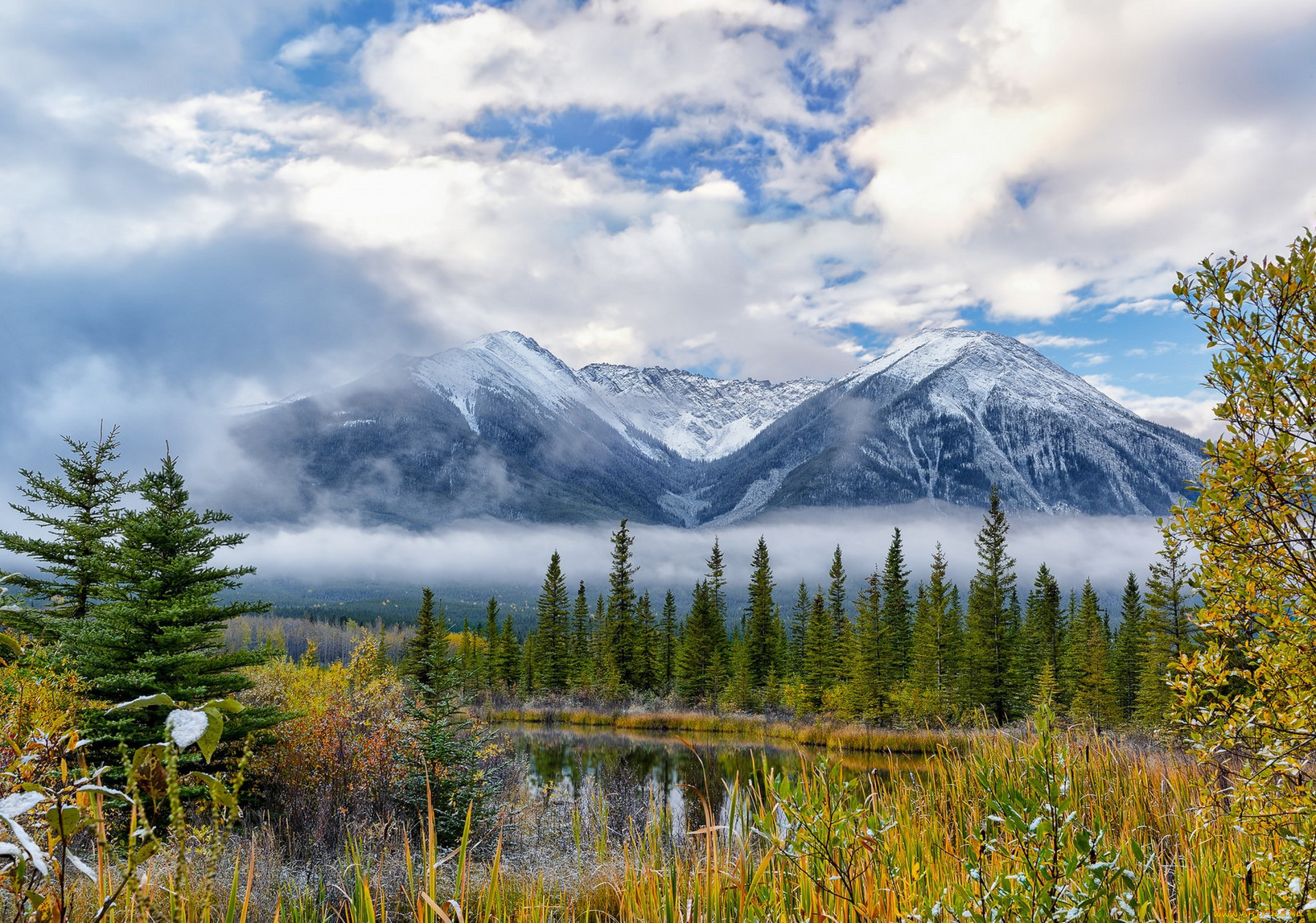 Mountains темы. Уральские горы. Леса Коми горы. Пейзажи уральских гор. Урал природа горы.